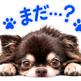 犬と僕