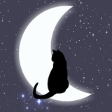 Mooncat｜ロゴ・チラシ