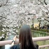 加賀 百合子
