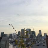 usagi0411