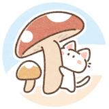 たひ。。