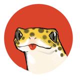 犬塚 葵