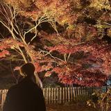 長谷川祐紀
