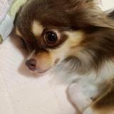 元石材店勤務の葬儀屋