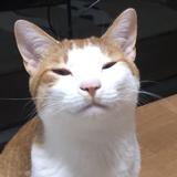威鵺るな