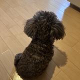 のるちTK