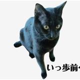 kuroneko_ahuto