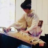 箏の花