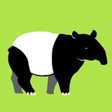 OH野