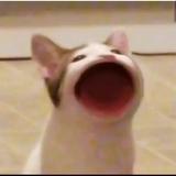 俺トレの部屋