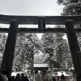 てりおっと