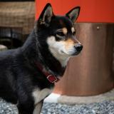 ■Shunsuke