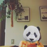 pandahead