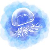 さざなみくらげ