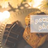 pawpaw＿photo