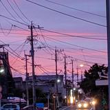 櫻嘩♫