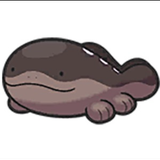 Erk1155