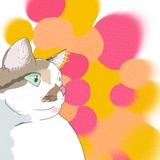 タカトリ【ゆるかわ動物イラスト】