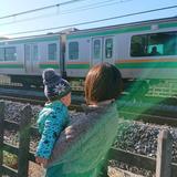 hidamarihimawari
