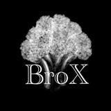Broccoli_Mix