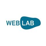 WEB LAB Lisa