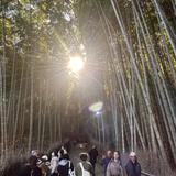 やんぐみぐん