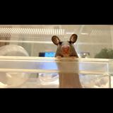 ぼ〜相談所