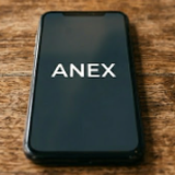 ANEX08