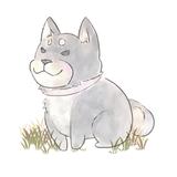 takeohashi