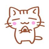 7CATS