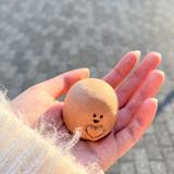sakura_ebi__