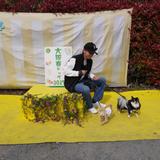 otorito03261121