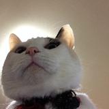 ナニワデザイン