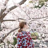 こだま ショート動画編集者
