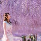 月日舎（つきひしゃ）