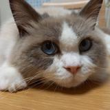 こもれびカフェ