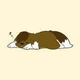 こひまめｻﾝ