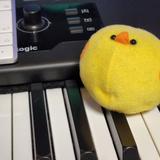 羽鳥舞