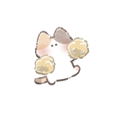 ねねこ_占い