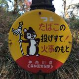 国府津模型工廠