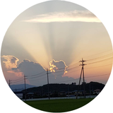 そらひかり333
