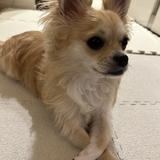 ちひろ Webデザイナー