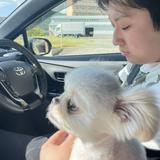 上田蓮｜WEBデザイナー