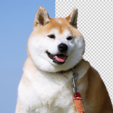 タカDesign