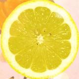レモンLemon
