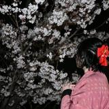 なみ先生❁⃘さくら相談所❁⃘