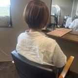 tatsumamadesu