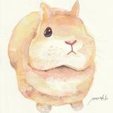 markU_01