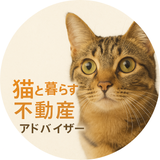 保護猫と暮らす宅建士