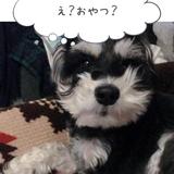 aco_lemon